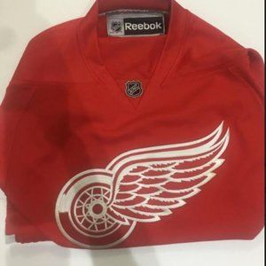 Detroit Red Wings Jersey Medium / Large